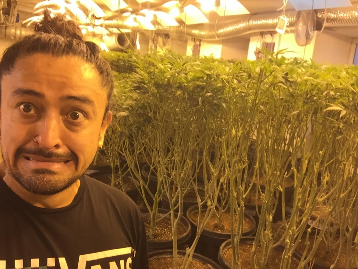 aprendecann20210604 wa0019